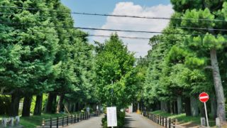 京都大学藤井聡教授が大阪都構想に反対する本当の訳?